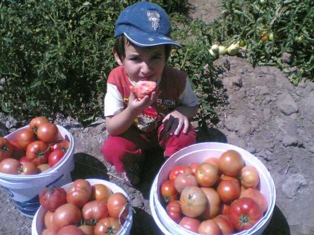 KÖY FOTOĞRAFLARI