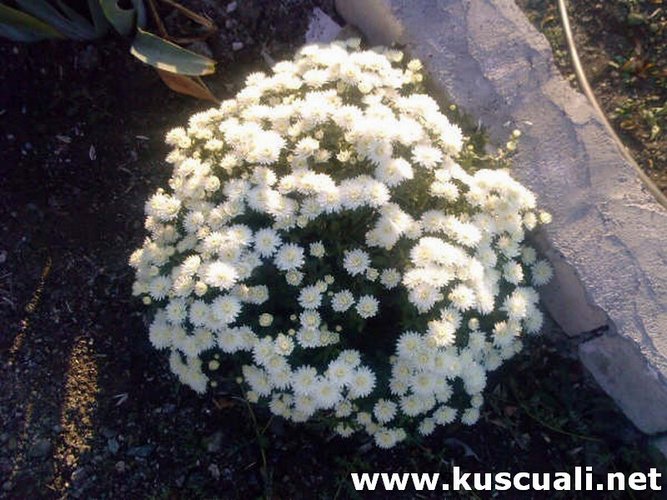 KÖY FOTOĞRAFLARI
