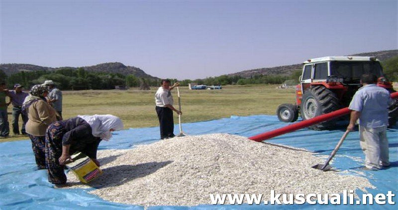 KÖY FOTOĞRAFLARI