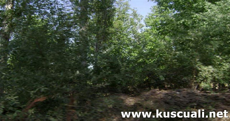 KÖY FOTOĞRAFLARI