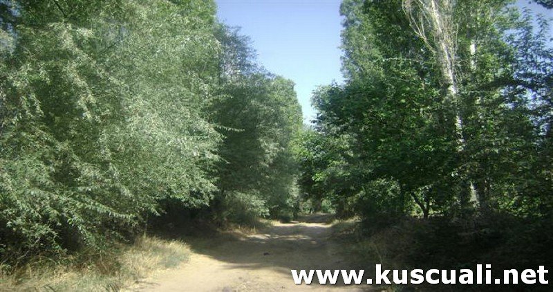 KÖY FOTOĞRAFLARI