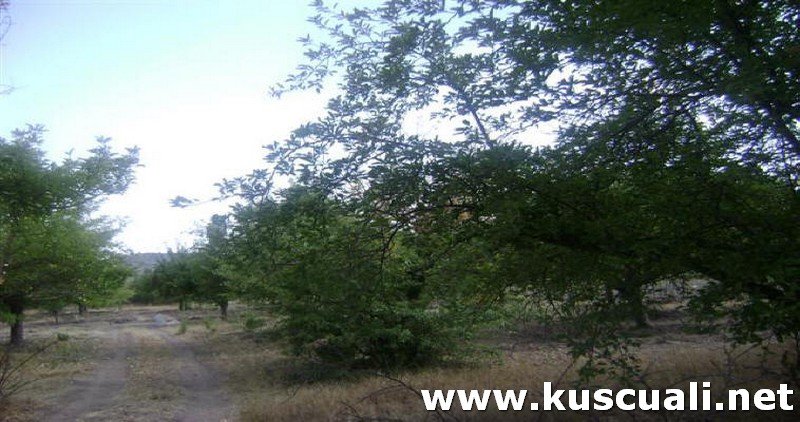 KÖY FOTOĞRAFLARI