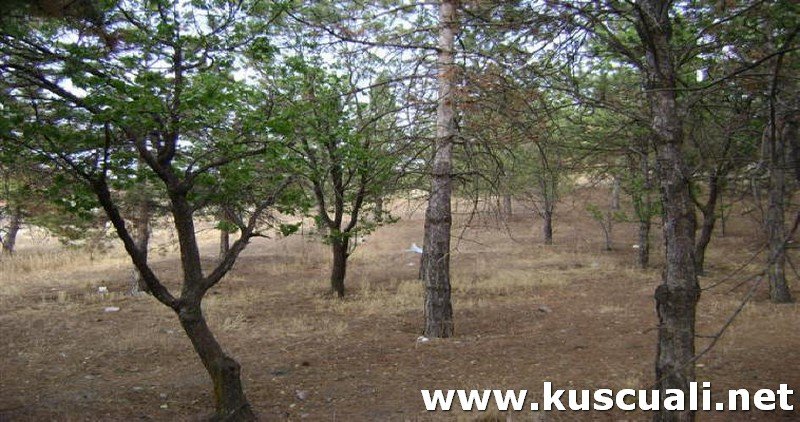 KÖY FOTOĞRAFLARI