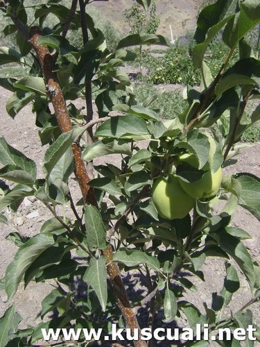 KÖY FOTOĞRAFLARI