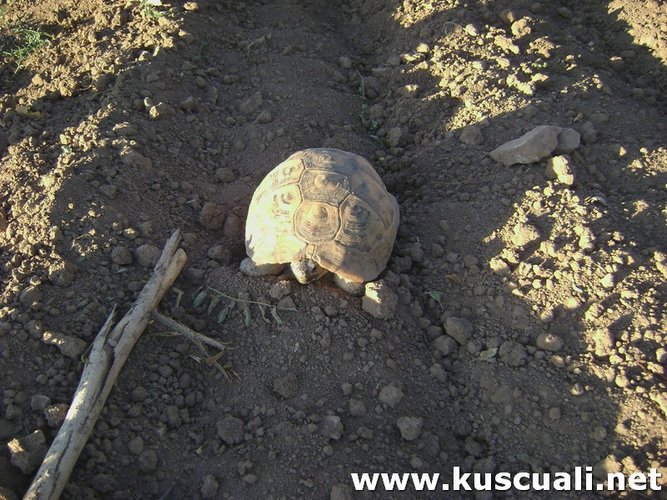 KÖY FOTOĞRAFLARI