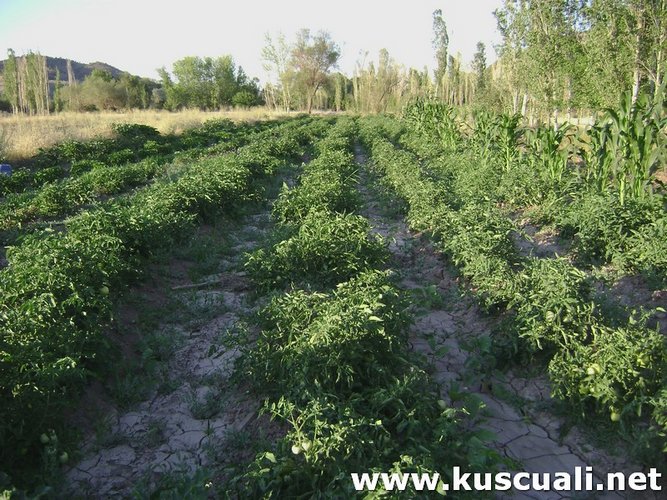 KÖY FOTOĞRAFLARI