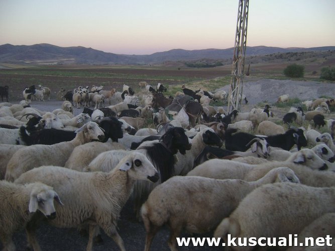 KÖY FOTOĞRAFLARI