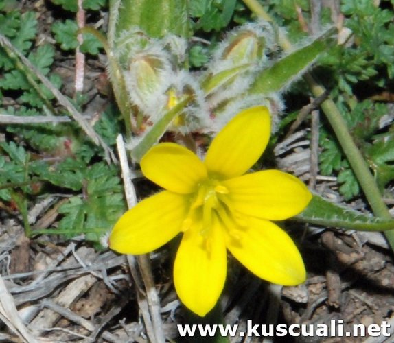 KÖY FOTOĞRAFLARI