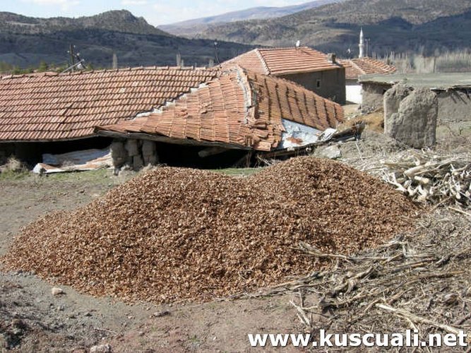 KÖY FOTOĞRAFLARI