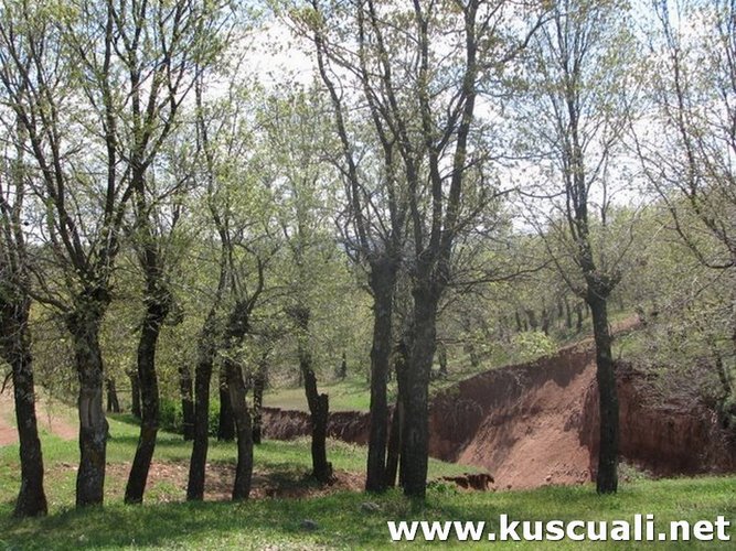 KÖY FOTOĞRAFLARI