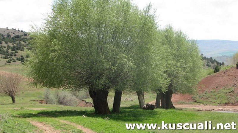 KÖY FOTOĞRAFLARI