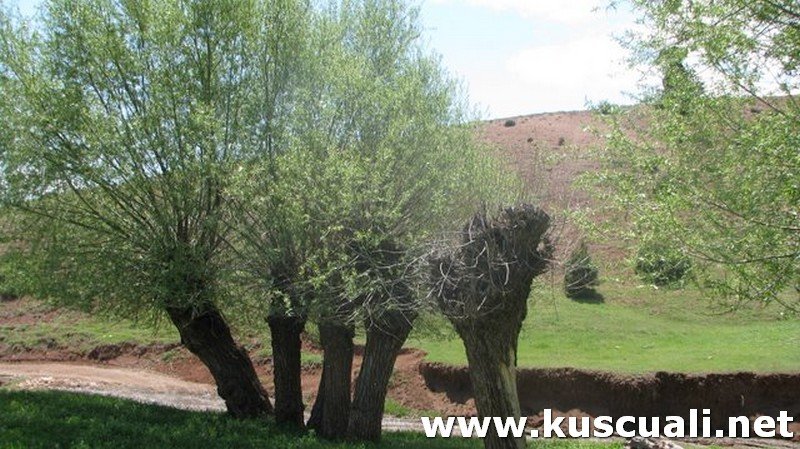 KÖY FOTOĞRAFLARI