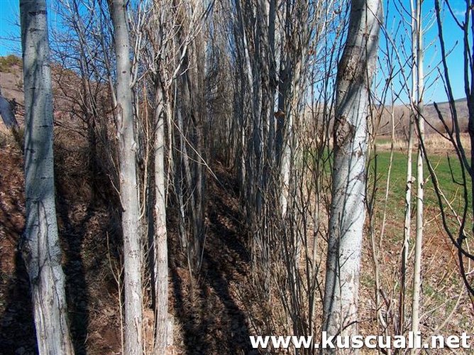 KÖY FOTOĞRAFLARI