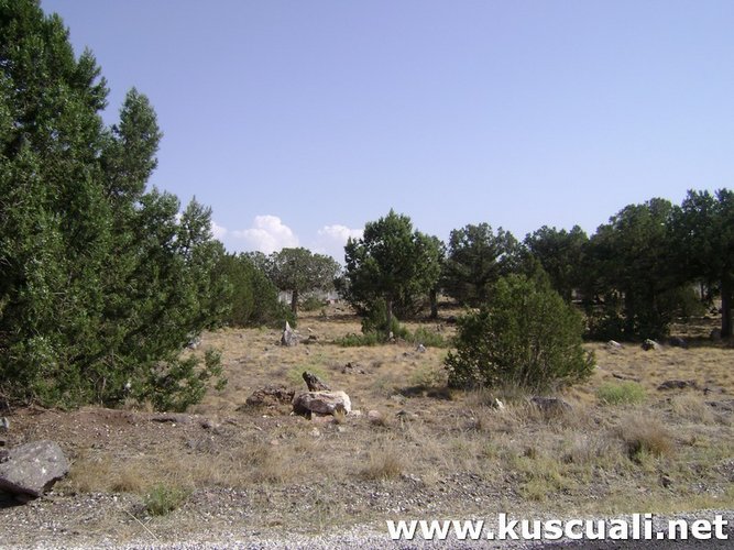 KÖY FOTOĞRAFLARI