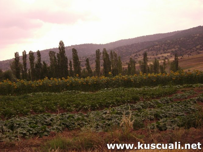 KÖY FOTOĞRAFLARI