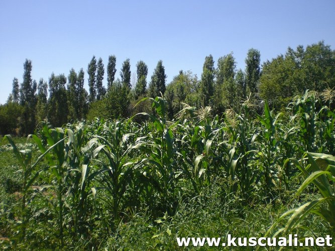 KÖY FOTOĞRAFLARI