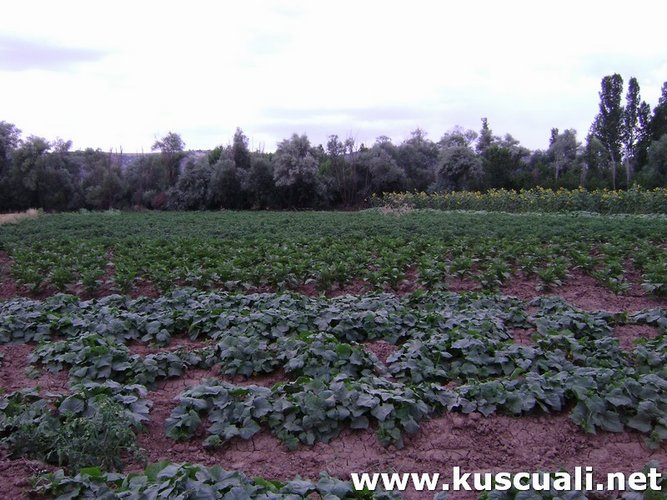 KÖY FOTOĞRAFLARI