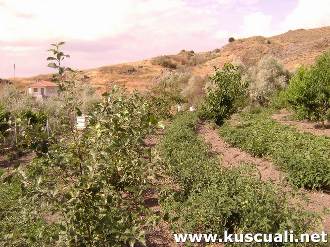 KÖY FOTOĞRAFLARI