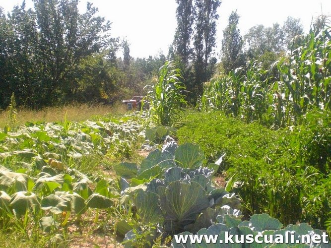 KÖY FOTOĞRAFLARI