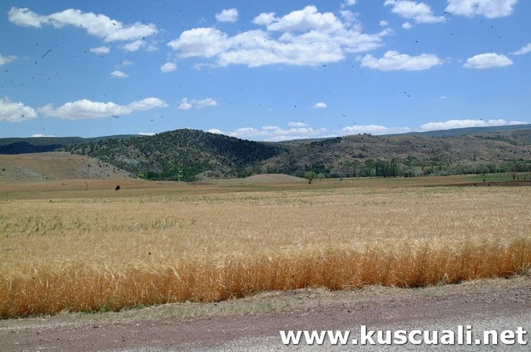 KÖY FOTOĞRAFLARI