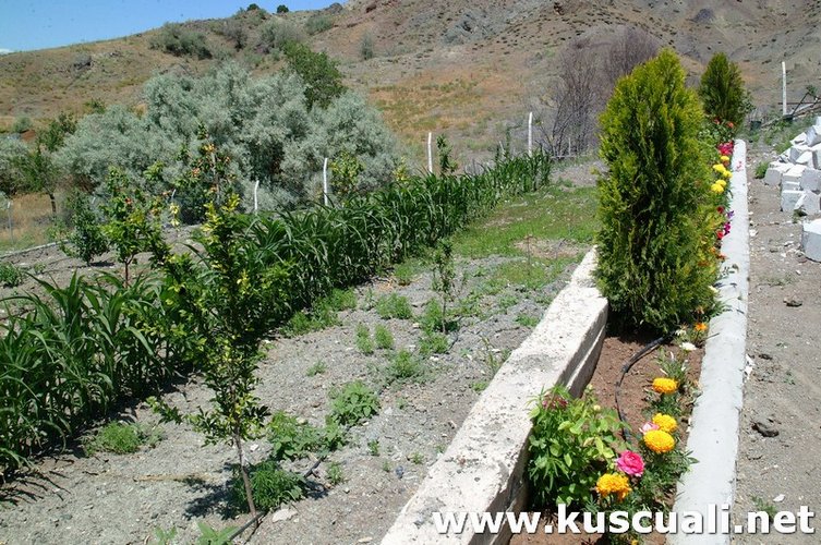 KÖY FOTOĞRAFLARI