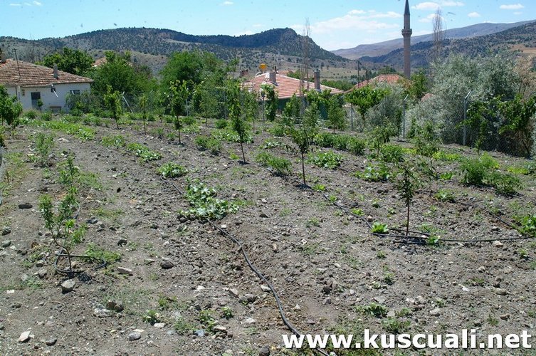 KÖY FOTOĞRAFLARI