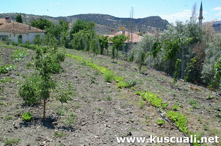 KÖY FOTOĞRAFLARI
