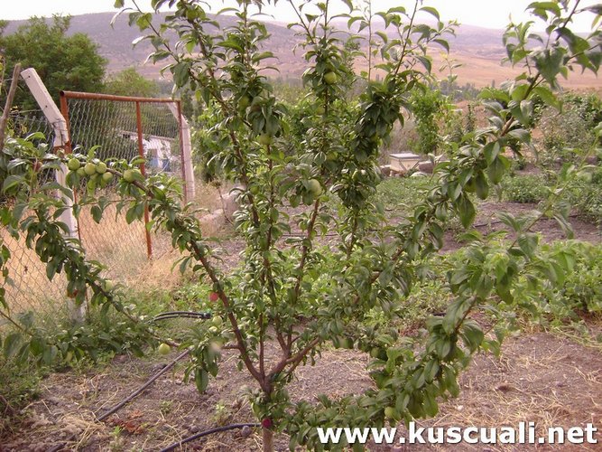 KÖY FOTOĞRAFLARI