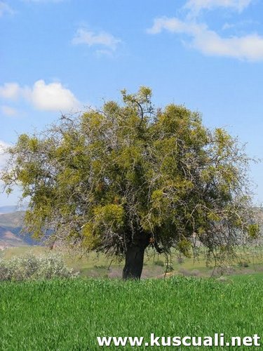 KÖY FOTOĞRAFLARI