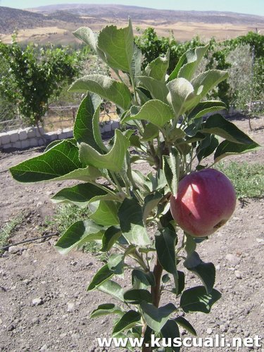 KÖY FOTOĞRAFLARI