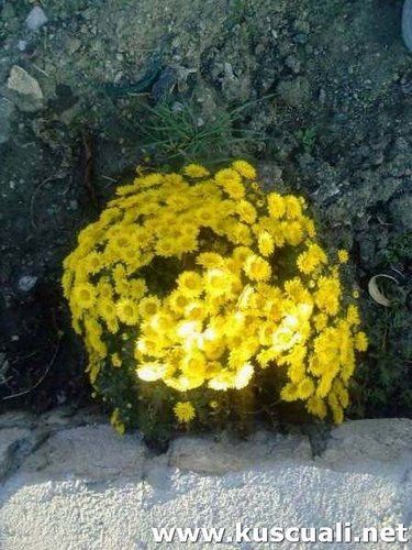 KÖY FOTOĞRAFLARI