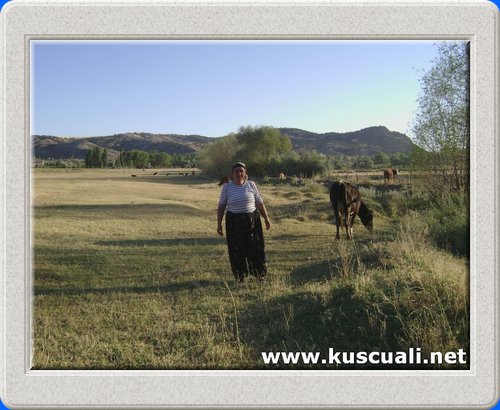 HALK FOTOĞRAFLARI