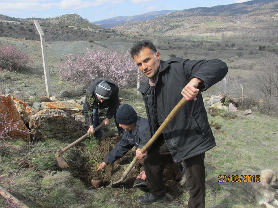 SİZDEN GELENLER